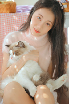 花都少帅下载电视剧